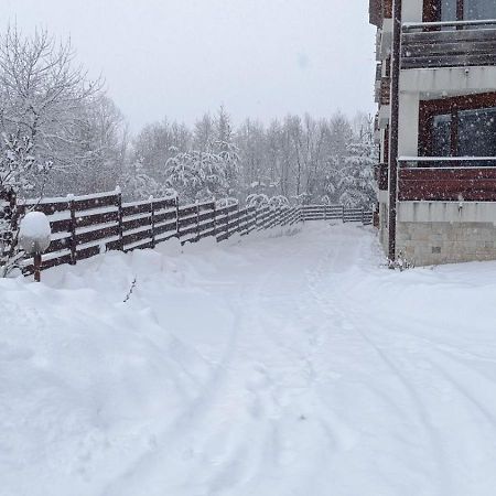 Apartment Detelina Residence Bansko Eksteriør billede
