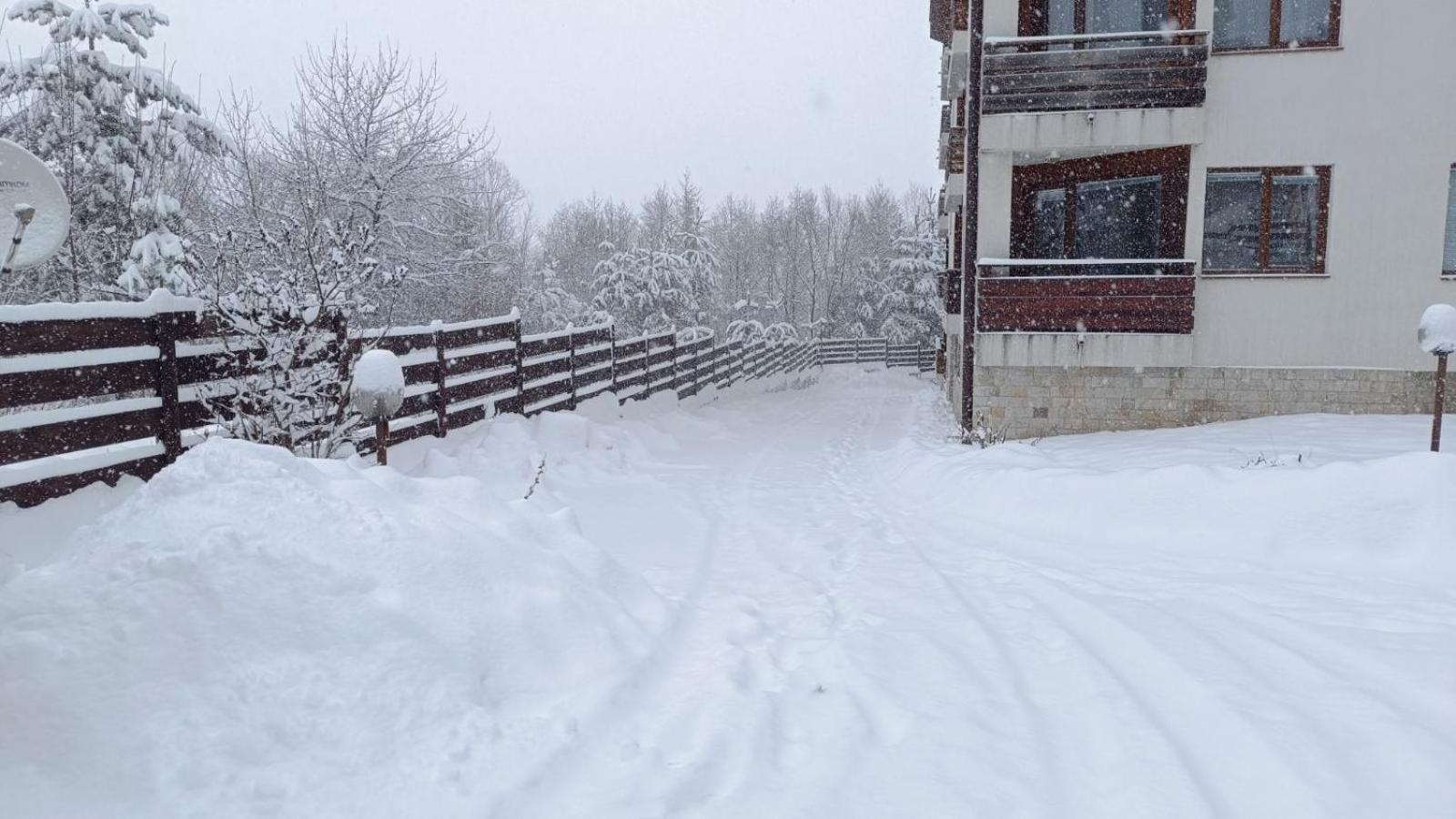 Apartment Detelina Residence Bansko Eksteriør billede