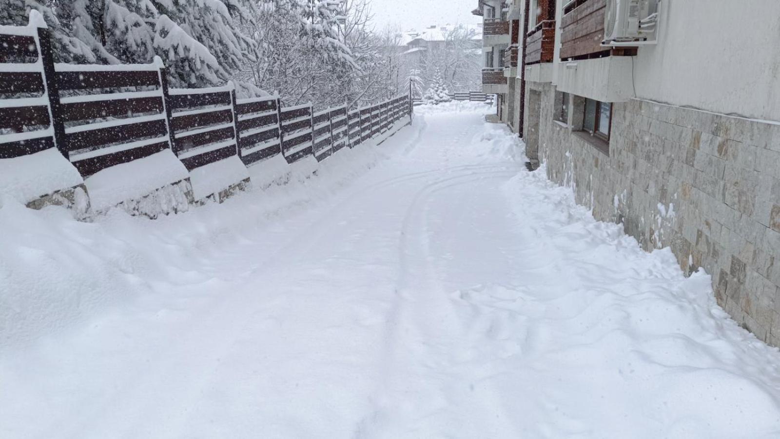 Apartment Detelina Residence Bansko Eksteriør billede