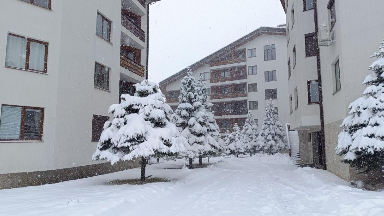 Apartment Detelina Residence Bansko Eksteriør billede