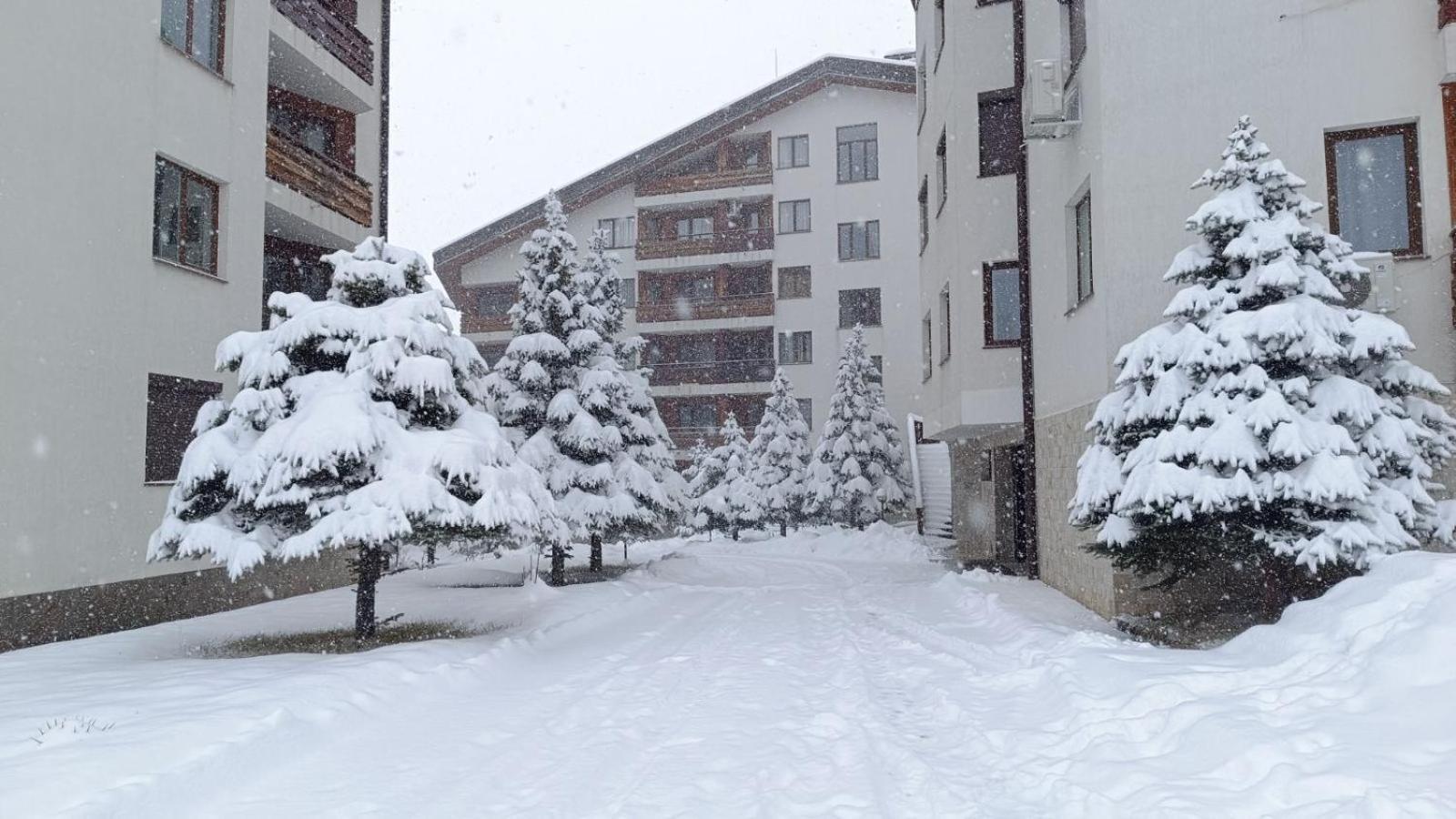 Apartment Detelina Residence Bansko Eksteriør billede
