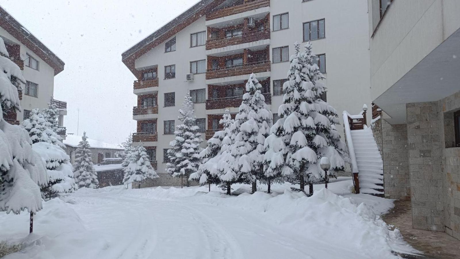 Apartment Detelina Residence Bansko Eksteriør billede