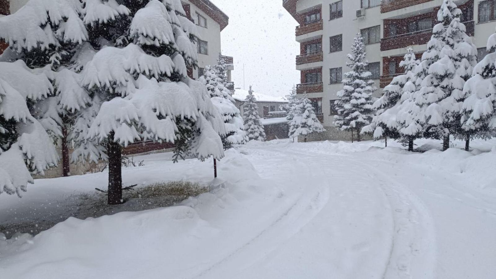 Apartment Detelina Residence Bansko Eksteriør billede