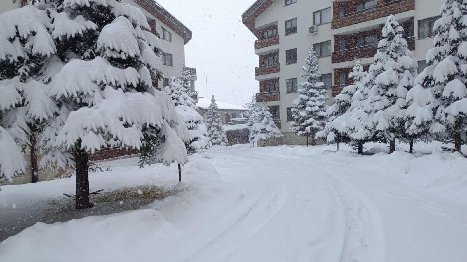 Apartment Detelina Residence Bansko Eksteriør billede