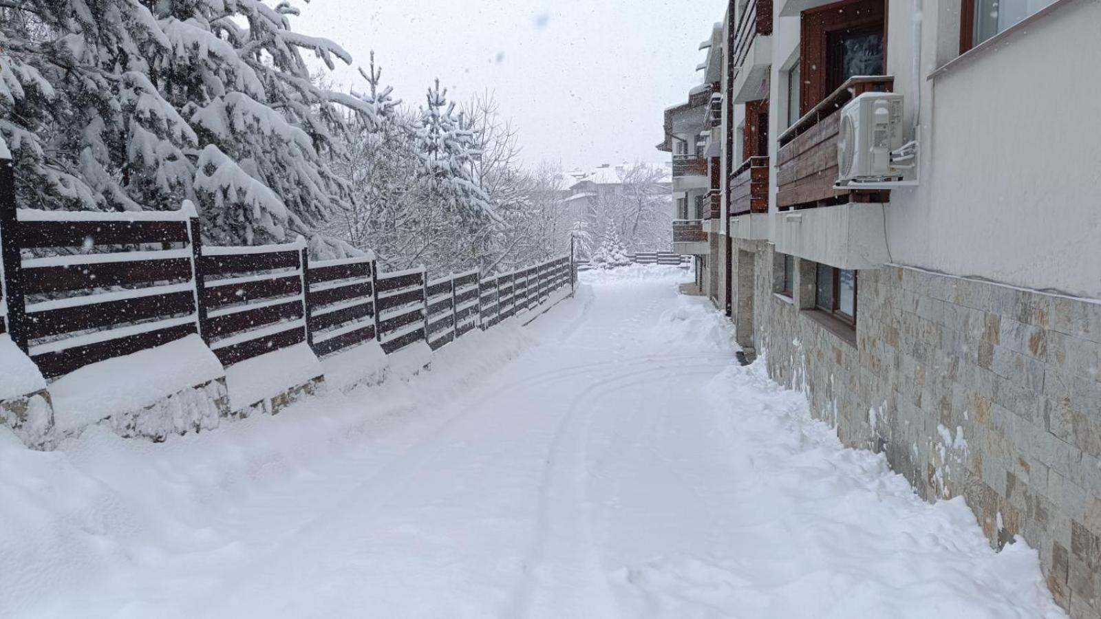 Apartment Detelina Residence Bansko Eksteriør billede